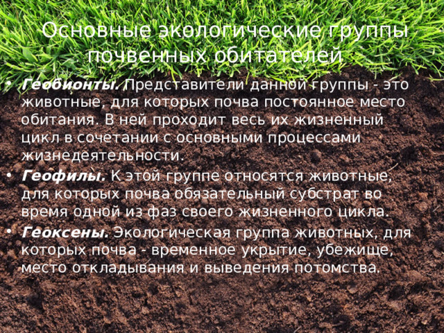  Основные экологические группы почвенных обитателей : Геобионты. Представители данной группы - это животные, для которых почва постоянное место обитания. В ней проходит весь их жизненный цикл в сочетании с основными процессами жизнедеятельности. Геофилы. К этой группе относятся животные, для которых почва обязательный субстрат во время одной из фаз своего жизненного цикла. Геоксены. Экологическая группа животных, для которых почва - временное укрытие, убежище, место откладывания и выведения потомства. 