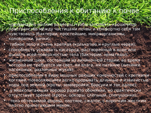 Приспособления к обитанию к почве : чрезвычайно мелкие размеры, чтобы заполнять крошечные пространства между частицами почвы и комфортно себя там чувствовать (бактерии, простейшие, микроорганизмы, коловратки, рачки);  гибкое тело и очень крепкая (кольчатые и круглые черви); способность усваивать кислород, растворенный в воде или дышать всей поверхностью тела (бактерии, нематоды); жизненный цикл, состоящий из личиночной стадии, во время которой не требуется ни свет, ни влага, ни питание (личинки насекомых, различных жуков); приспособления в виде мощных роющих конечностей с крепкими когтями, позволяющими легко прорывать длинные и извилистые ходы под землей (кроты, землеройки, барсуки и так далее);  у млекопитающих хорошо развито обоняние, но практически отсутствует зрение (кроты, цокоры, слепыши, спепушонки);  тело обтекаемой формы, плотное, сжатое, с коротким жестким плотно прилегающим мехом. 