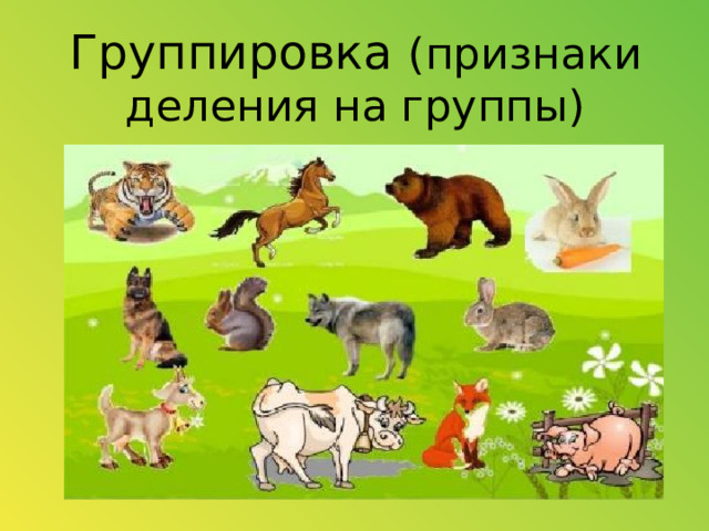 Группировка (признаки деления на группы) 