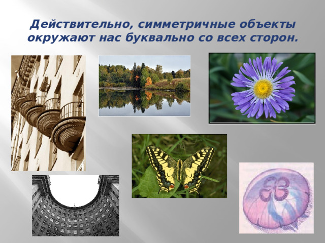 Действительно, симметричные объекты окружают нас буквально со всех сторон. 