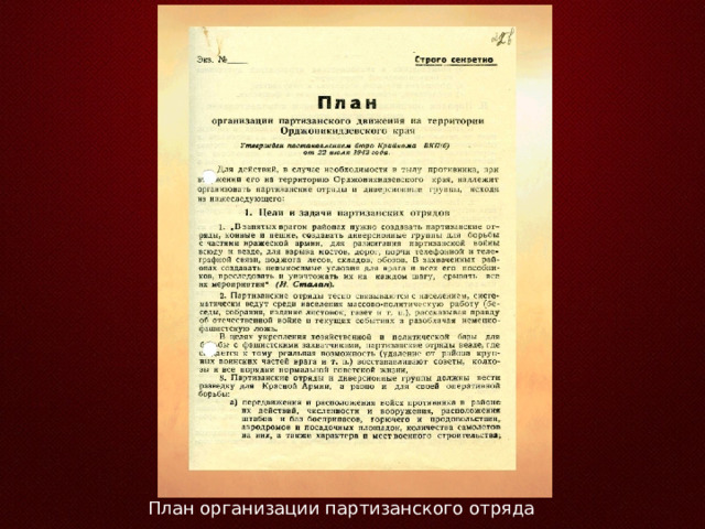 План организации партизанского отряда 