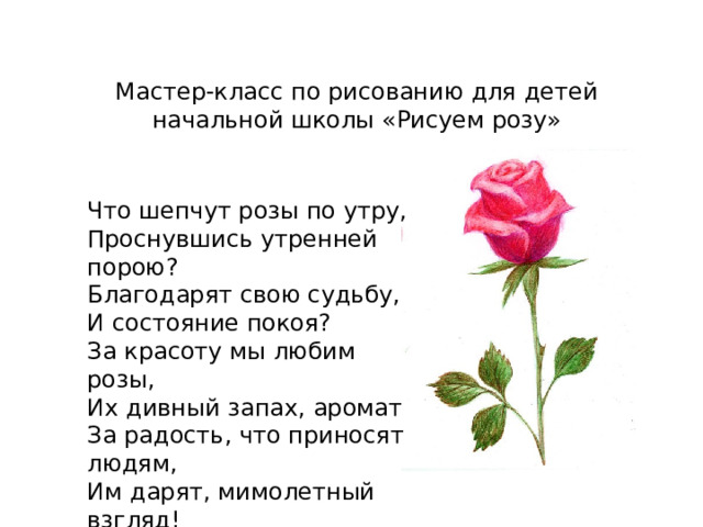 Мастер-класс по рисованию для детей начальной школы «Рисуем розу» Что шепчут розы по утру,  Проснувшись утренней порою?  Благодарят свою судьбу,  И состояние покоя? За красоту мы любим розы,  Их дивный запах, аромат  За радость, что приносят людям,  Им дарят, мимолетный взгляд!  Олег Есин 