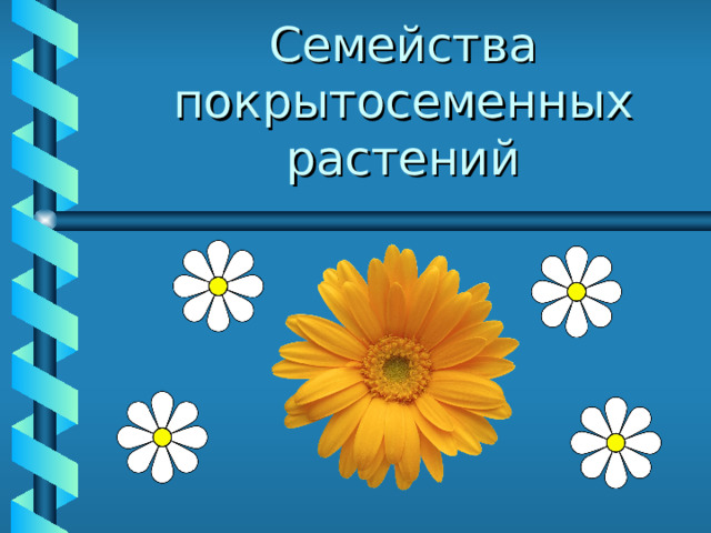 Семейства покрытосеменных растений  