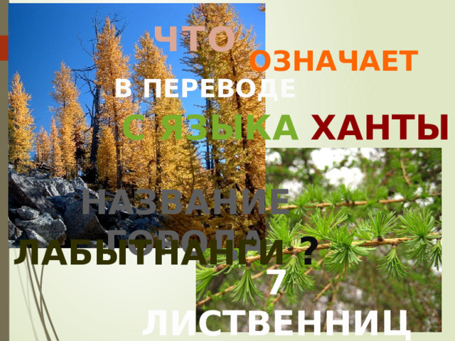 ЧТО ОЗНАЧАЕТ  В ПЕРЕВОДЕ С ЯЗЫКА ХАНТЫ НАЗВАНИЕ ГОРОДА ЛАБЫТНАНГИ  ? 7 ЛИСТВЕННИЦ 