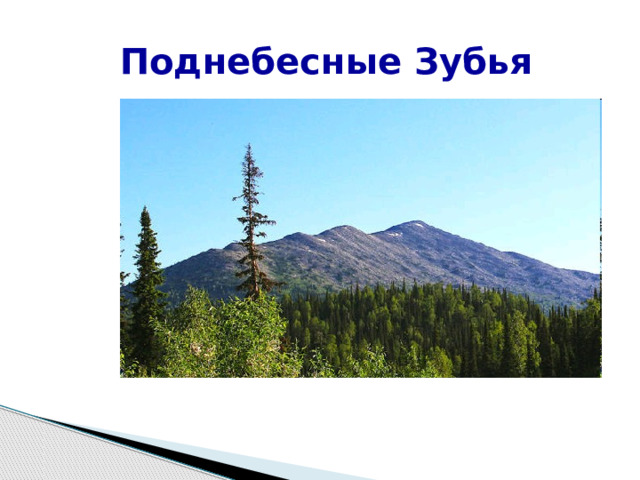  Поднебесные Зубья 