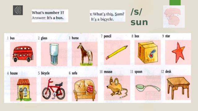 /s/ sun 