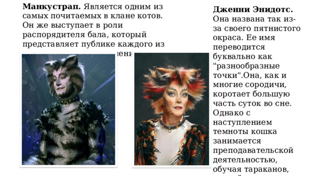 Манкустрап. Является одним из самых почитаемых в клане котов. Он же выступает в роли распорядителя бала, который представляет публике каждого из претендентов на получение приза. Дженни Энидотс. Она названа так из-за своего пятнистого окраса. Ее имя переводится буквально как 