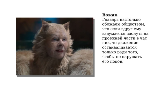 Вожак. Главарь настолько обожаем обществом, что если вдруг ему вздумается заснуть на проезжей части в час пик, то движение останавливается только ради того, чтобы не нарушать его покой. 