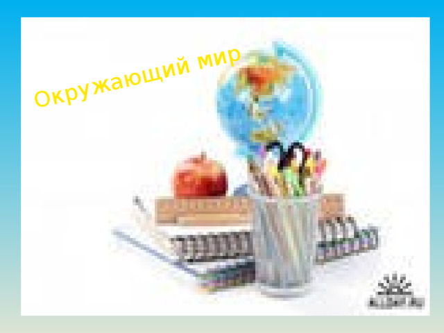 Окружающий мир 