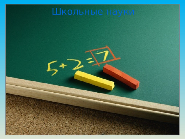 Школьные науки 