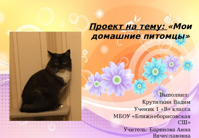 Проект на тему: «Мои домашние питомцы» Мой проект называется «Моя любимая кошка». Я очень люблю животных. У меня дома есть кошка – Маня, черепаха Тотти и рыбки в аквариуме. Но больше всех я люблю кошек. И я решила узнать о ней побольше и рассказать о своей кошке. Выполнил: Крутилкин Вадим Ученик 1 «В» класса МБОУ «Ближнеборисовская СШ» Учитель: Баринова Анна Вячеславовна  