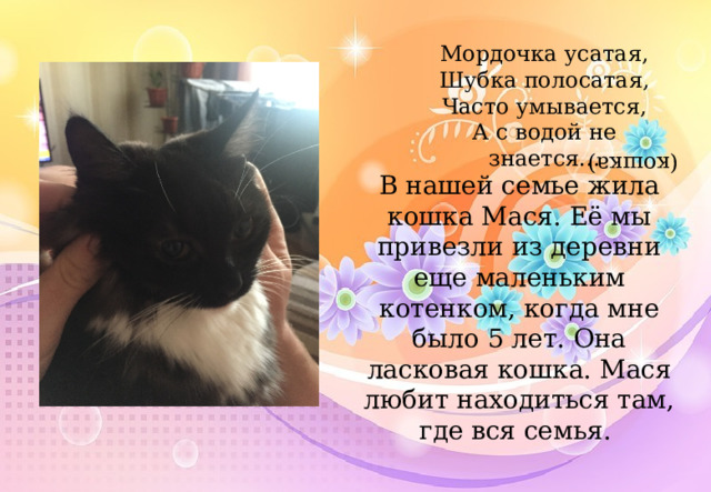 Мордочка усатая,  Шубка полосатая,  Часто умывается,  А с водой не знается... (кошка) В нашей семье жила кошка Мася. Её мы привезли из деревни еще маленьким котенком, когда мне было 5 лет. Она ласковая кошка. Мася любит находиться там, где вся семья.  