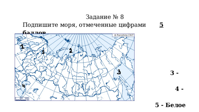 Задание № 8 Подпишите моря, отмеченные цифрами  5 баллов  1 -Балтийское  2 - Карское  3 - Охотское  4 - Каспийское  5 - Белое         