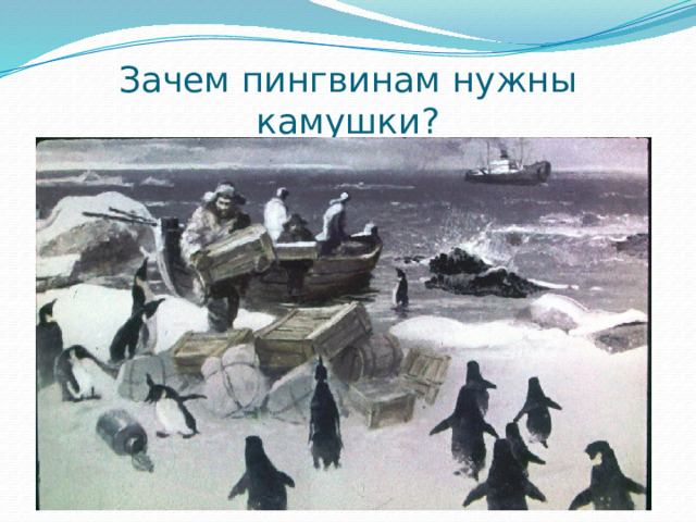 Зачем пингвинам нужны камушки? Пингвинам камушки нужны не играть, а гнёзда строить. Ведь остров их весь каменный, ни одной травинки не растёт. Поэтому пингвины строят гнёзда из камушков. Пингвиниха сидит на гнезде и со всех сторон камушки под себя подгребает. А рядом стоит пингвин, посматривает кругом — караулит. 