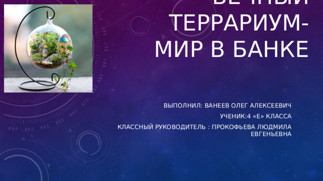 Вечный террариум-  мир в банке Выполнил: Ванеев Олег Алексеевич Ученик:4 «е» класса Классный руководитель : Прокофьева Людмила Евгеньевна 