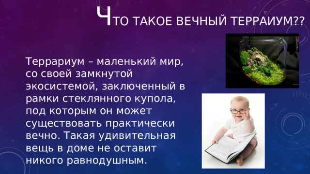 Ч то такое вечный терраиум?? Террариум – маленький мир, со своей замкнутой экосистемой, заключенный в рамки стеклянного купола, под которым он может существовать практически вечно. Такая удивительная вещь в доме не оставит никого равнодушным. 