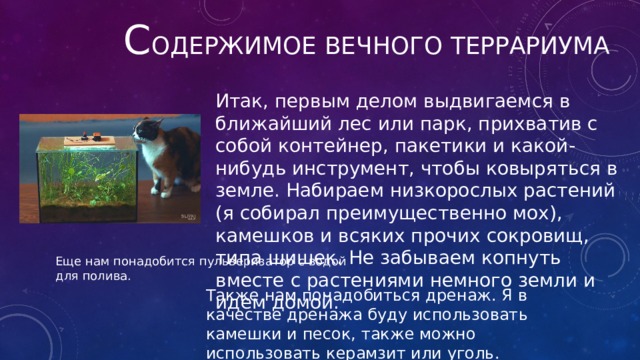 с одержимое вечного террариума Итак, первым делом выдвигаемся в ближайший лес или парк, прихватив с собой контейнер, пакетики и какой-нибудь инструмент, чтобы ковыряться в земле. Набираем низкорослых растений (я собирал преимущественно мох), камешков и всяких прочих сокровищ, типа шишек. Не забываем копнуть вместе с растениями немного земли и идем домой. Еще нам понадобится пульверизатор с водой для полива. Также нам понадобиться дренаж. Я в качестве дренажа буду использовать камешки и песок, также можно использовать керамзит или уголь. 