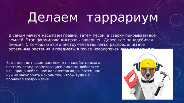 Делаем таррариум В самом начале насыпаем гравий, затем песок, а сверху покрываем все землей. Этап формирования почвы завершен. Далее нам понадобится пинцет. С помощью этого инструмента мы легко распределим все остальные растения и предметы в почве новоиспеченного террариума. Естественно, нашим растениям понадобится влага, поэтому перед герметизацией емкости добавляем из шприца небольшое количество воды. Затем нам нужно закупорить цоколь так, чтобы туда не проникал воздух извне. 