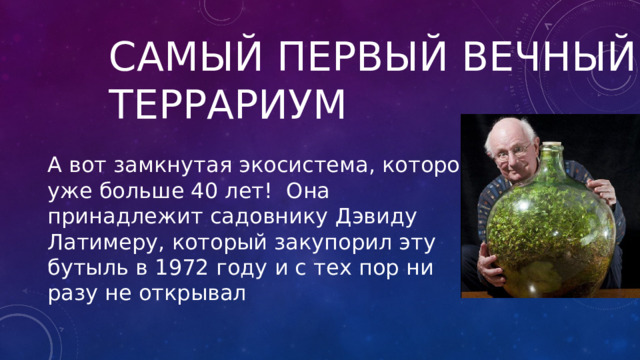 Самый первый вечный террариум А вот замкнутая экосистема, которой уже больше 40 лет! Она принадлежит садовнику Дэвиду Латимеру, который закупорил эту бутыль в 1972 году и с тех пор ни разу не открывал 