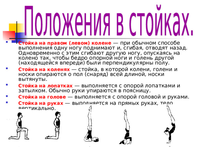 Стойка на правом (левом) колене  — при обычном способе выполнения одну ногу поднимают и, сгибая, отводят назад. Одновременно с этим сгибают другую ногу, опускаясь на колено так, чтобы бедро опорной ноги и голень другой (находящейся впереди) были перпендикулярны полу. Стойка на коленях — стойка, в которой колени, голени и носки опираются о пол (снаряд) всей длиной, носки вытянуты. Стойка на лопатках — выполняется с опорой лопатками и затылком . Обычно руки упираются в поясницу. Стойка на голове — выполняется с опорой головой и руками. Стойка на руках — выполняется на прямых руках, тело вертикально . 