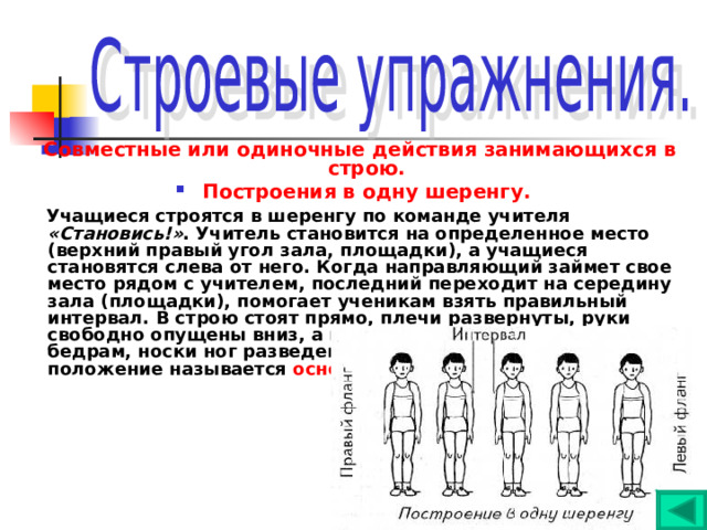  Совместные или одиночные действия занимающихся в строю. Построения в одну шеренгу.  Учащиеся строятся в шеренгу по команде учителя «Становись!» . Учитель становится на определенное место (верхний правый угол зала, площадки), а учащиеся становятся слева от него. Когда направляющий займет свое место рядом с учителем, последний переходит на середину зала (площадки), помогает ученикам взять правильный интервал. В строю  стоят прямо, плечи развернуты, руки свободно опущены вниз, а полусогнутые кисти прижаты к бедрам, носки ног разведены пятки сомкнуты. Такое положение называется основной стойкой . 