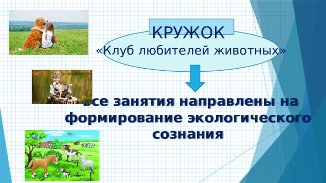 КРУЖОК «Клуб любителей животных»  все занятия направлены на формирование экологического сознания 