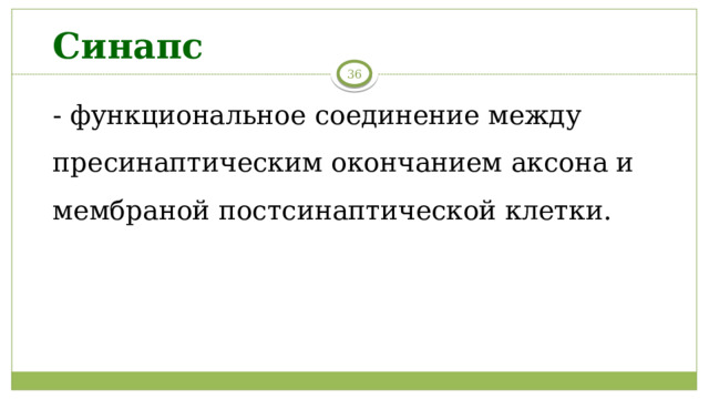 Синапс - функциональное соединение между пресинаптическим окончанием аксона и мембраной постсинаптической клетки. 6 
