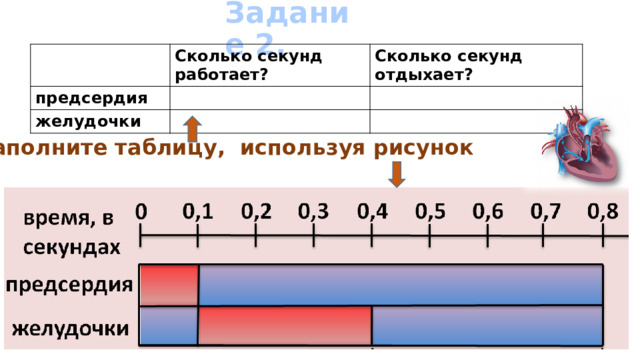 Задание 2. Сколько секунд работает? предсердия Сколько секунд отдыхает? желудочки Заполните таблицу, используя рисунок 