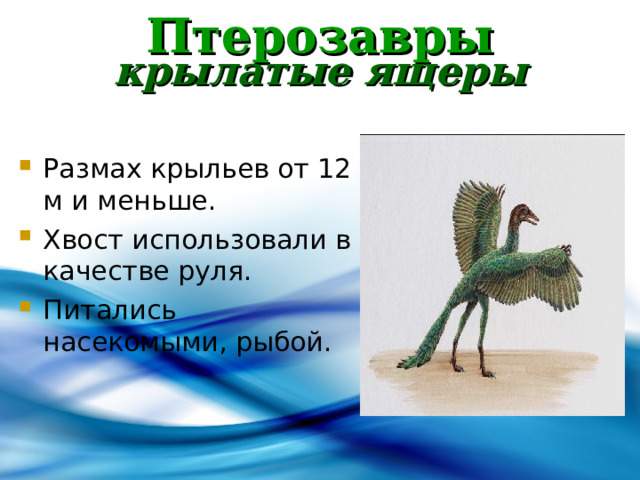 Птерозавры  крылатые ящеры Размах крыльев от 12 м и меньше. Хвост использовали в качестве руля. Питались насекомыми, рыбой.  
