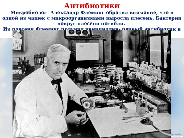Антибиотики  Микробиолог Александр Флеминг обратил внимание, что в одной из чашек с микроорганизмами выросла плесень. Бактерии вокруг плесени погибли. Из плесени Флеминг получил пенициллин- первый антибиотик в 1929 году 20 века. 