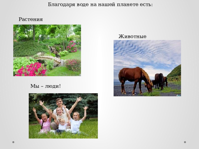 Благодаря воде на нашей планете есть: Растения Животные Мы – люди! 