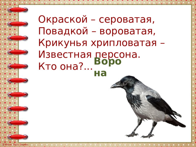 Окраской – сероватая,  Повадкой – вороватая,  Крикунья хрипловатая –  Известная персона.   Кто она?...  Ворона 