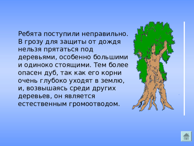 Ребята поступили неправильно. В грозу для защиты от дождя нельзя прятаться под деревьями, особенно большими и одиноко стоящими. Тем более опасен дуб, так как его корни очень глубоко уходят в землю, и, возвышаясь среди других деревьев, он является естественным громоотводом. 