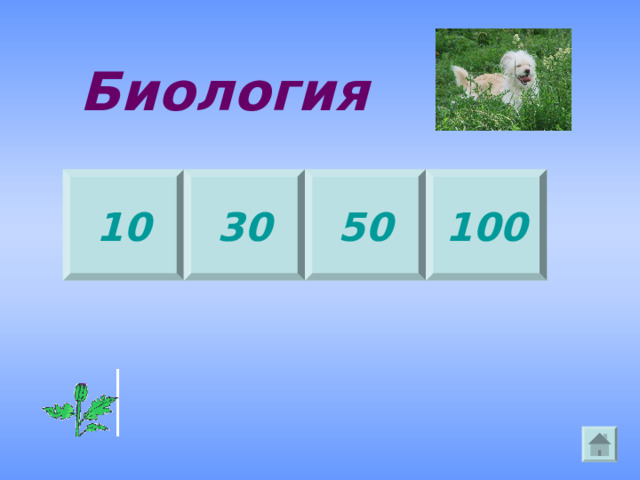 Биология 10 30 100 50 