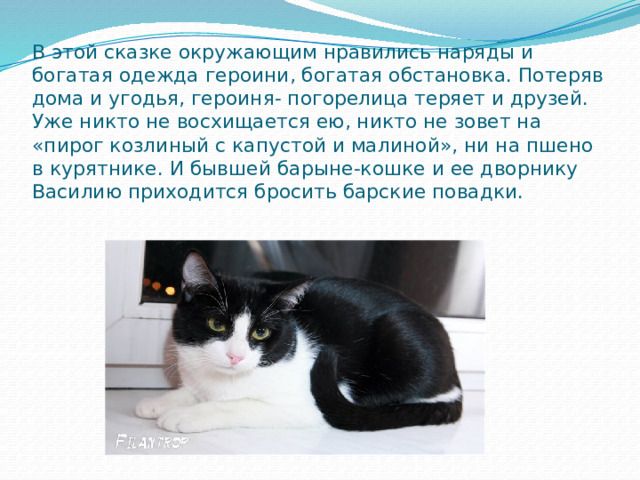 В этой сказке окружающим нравились наряды и богатая одежда героини, богатая обстановка. Потеряв дома и угодья, героиня- погорелица теряет и друзей. Уже никто не восхищается ею, никто не зовет на «пирог козлиный с капустой и малиной», ни на пшено в курятнике. И бывшей барыне-кошке и ее дворнику Василию приходится бросить барские повадки.   