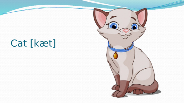 Cat [kæt] 