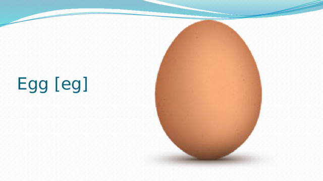 Egg [eg] 
