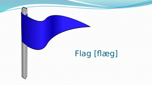 Flag [flæg] 