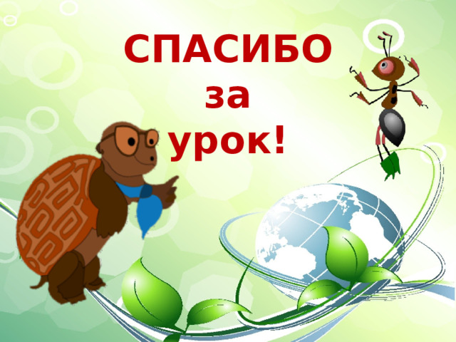 СПАСИБО  за  урок! 