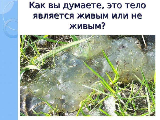 Как вы думаете, это тело является живым или не живым? 