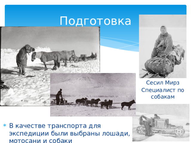 Подготовка Сесил Мирз Специалист по собакам В качестве транспорта для экспедиции были выбраны лошади, мотосани и собаки 