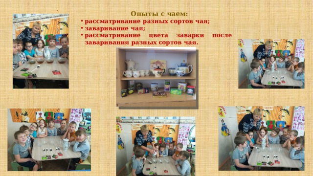 . Опыты с чаем: рассматривание разных сортов чая; заваривание чая; рассматривание цвета заварки после заваривания разных сортов чая. 
