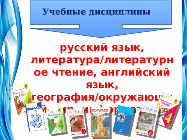 Учебные дисциплины русский язык, литература/литературное чтение, английский язык, география/окружающий мир, информатика 