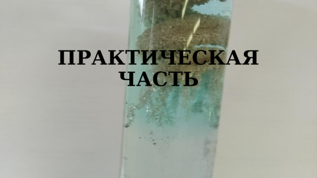 ПРАКТИЧЕСКАЯ ЧАСТЬ 