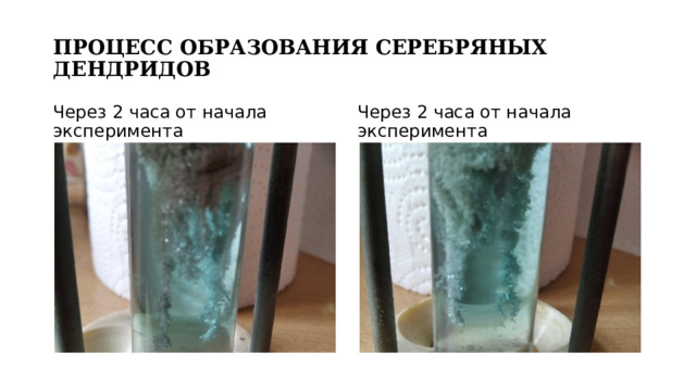 ПРОЦЕСС ОБРАЗОВАНИЯ СЕРЕБРЯНЫХ ДЕНДРИДОВ Через 2 часа от начала эксперимента Через 2 часа от начала эксперимента 