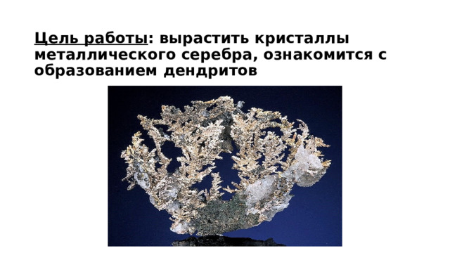 Цель работы : вырастить кристаллы металлического серебра, ознакомится с образованием дендритов   