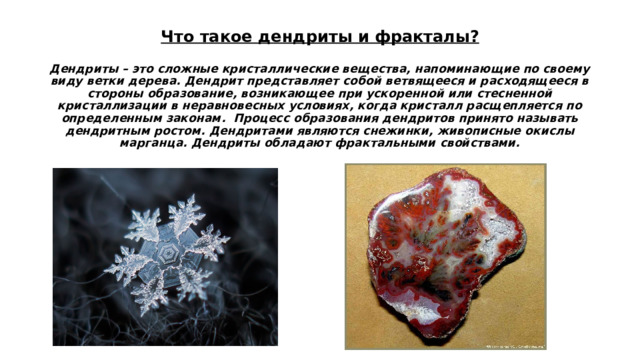 Что такое дендриты и фракталы?   Дендриты – это сложные кристаллические вещества, напоминающие по своему виду ветки дерева. Дендрит представляет собой ветвящееся и расходящееся в стороны образование, возникающее при ускоренной или стесненной кристаллизации в неравновесных условиях, когда кристалл расщепляется по определенным законам. Процесс образования дендритов принято называть дендритным ростом. Дендритами являются снежинки, живописные окислы марганца. Дендриты обладают фрактальными свойствами. 