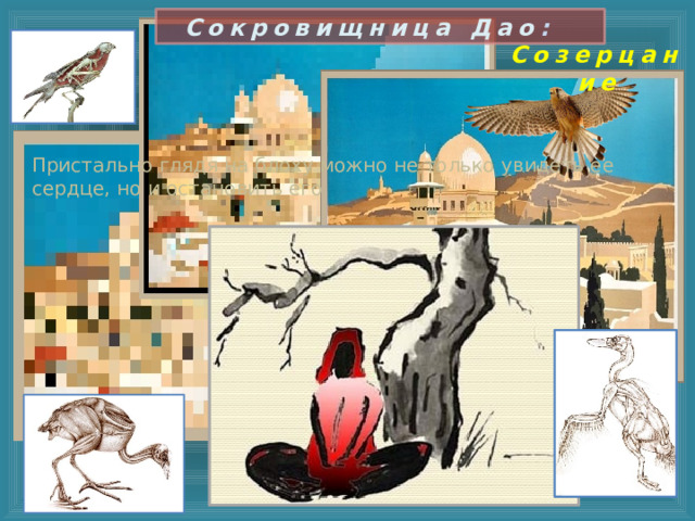 Сокровищница Дао : Созерцание Пристально глядя на блоху можно не только увидеть ее сердце, но и остановить его 