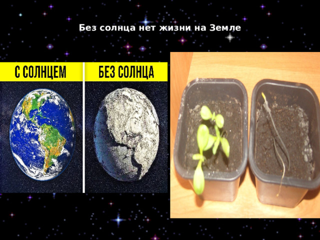  Без солнца нет жизни на Земле 