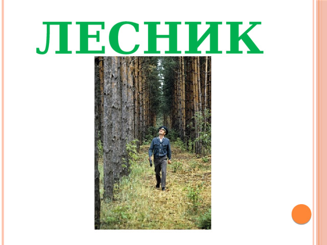 ЛЕСНИК 